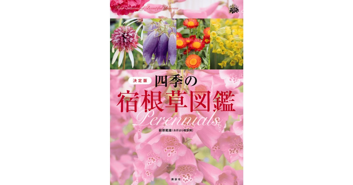四季の宿根草図鑑 決定版 | 株式会社講談社BECK