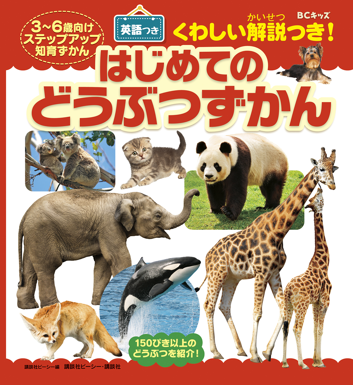 はじめてのどうぶつずかん