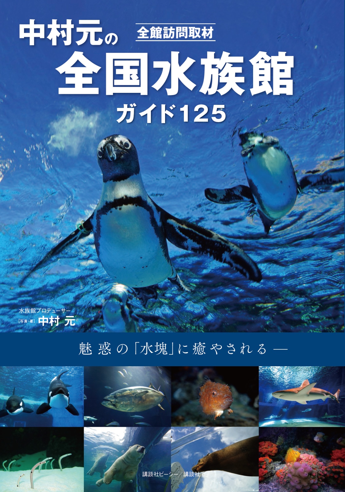 全館訪問取材 中村元の全国水族館ガイド 125
