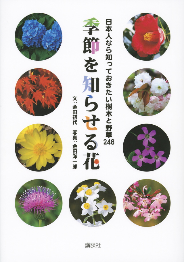 季節を知らせる花