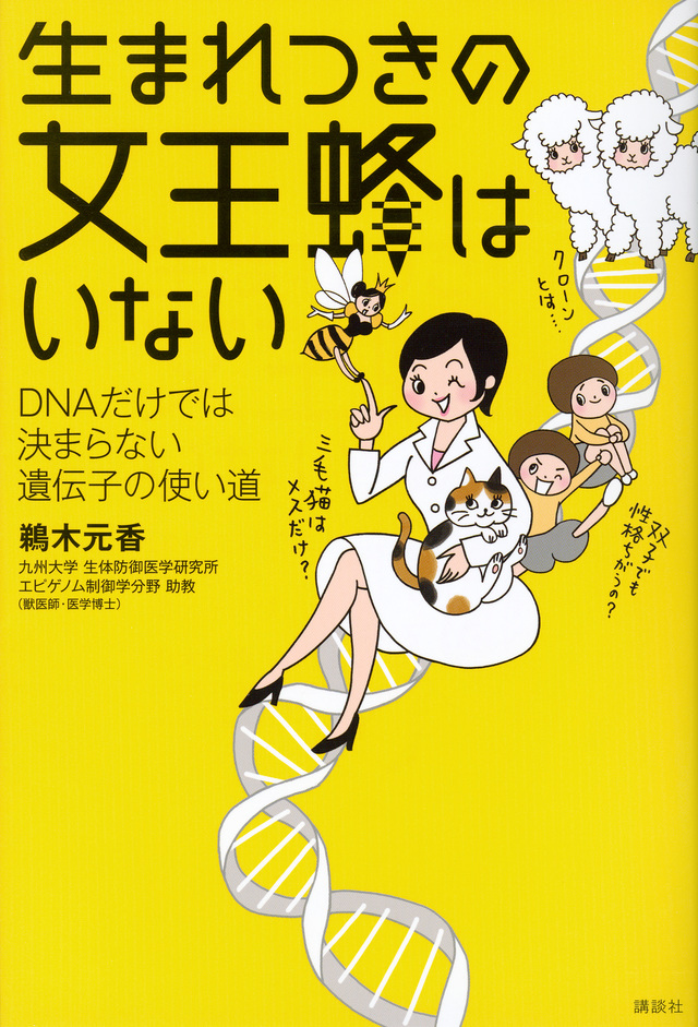生まれつきの女王蜂はいない