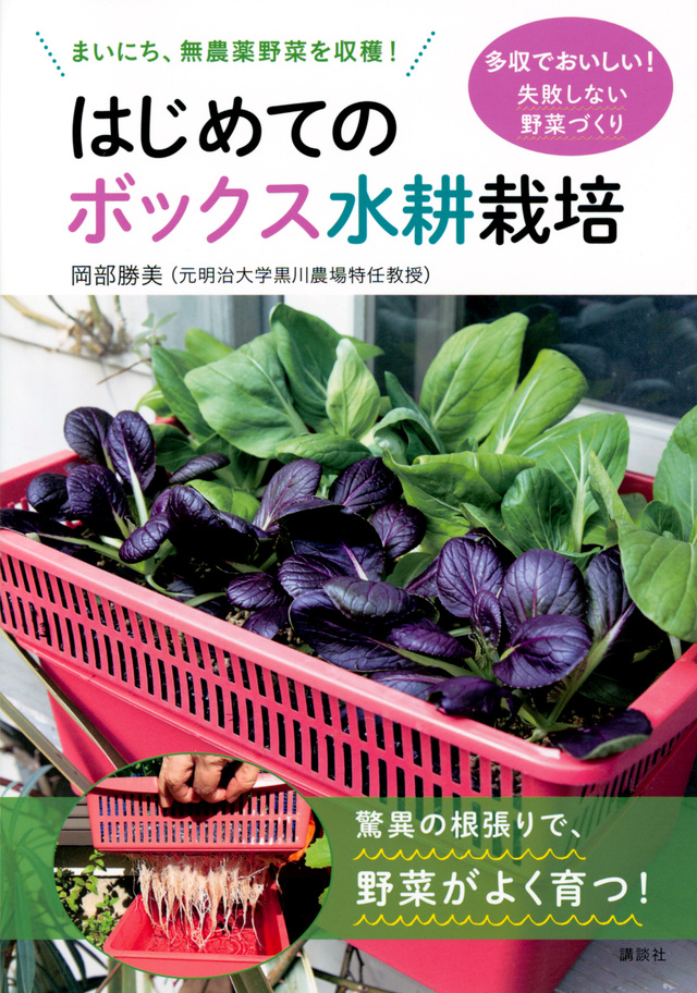 はじめてのボックス水耕栽培