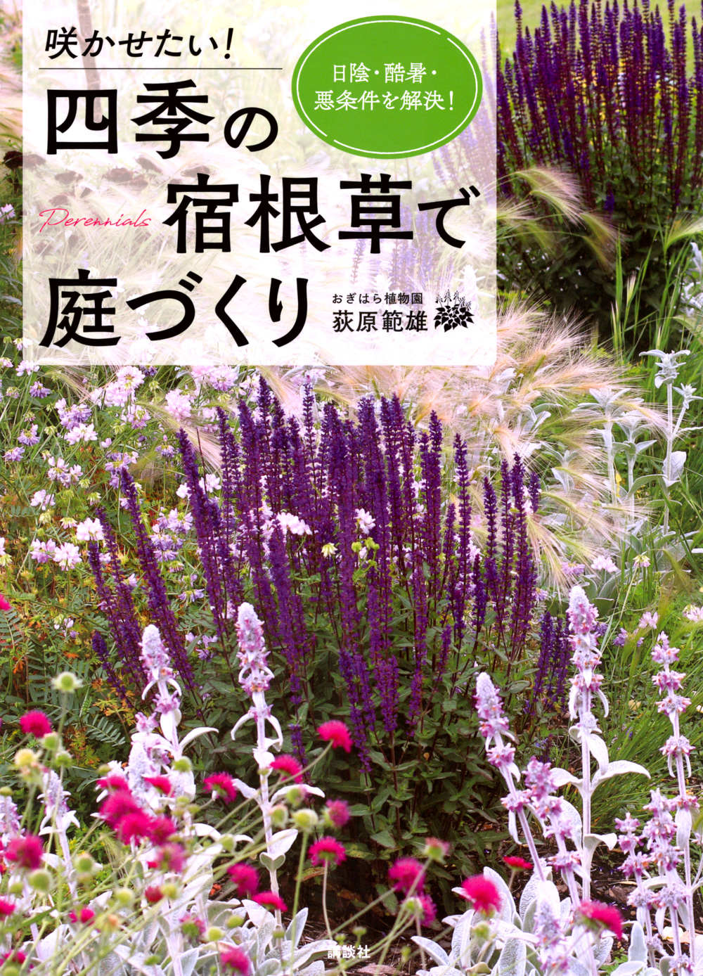 咲かせたい！　四季の宿根草で庭づくり