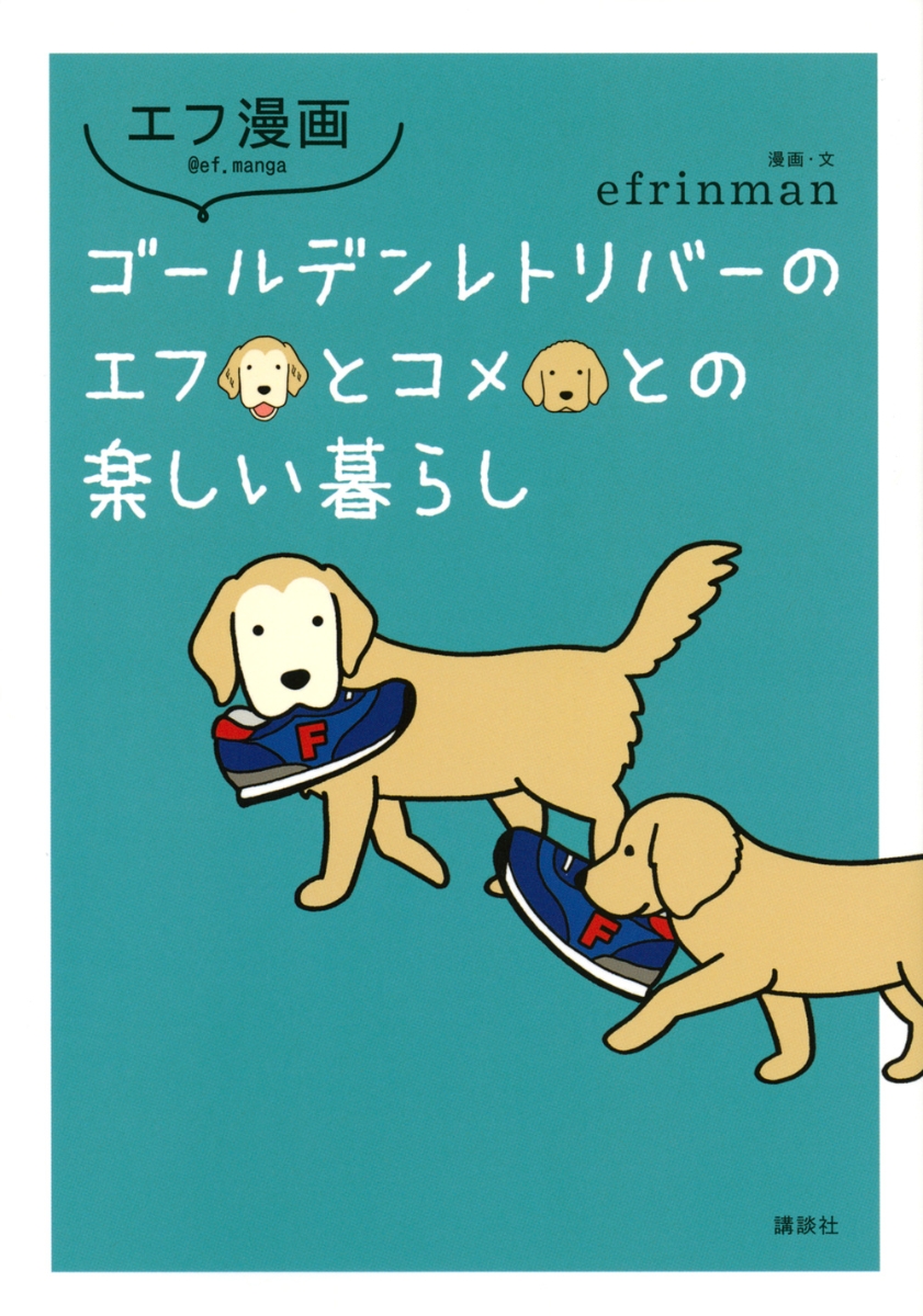 ゴールデンレトリバーのエフとコメとの楽しい暮らし
