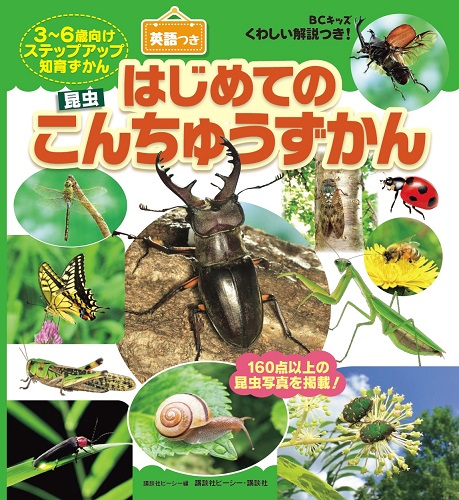 BCキッズ「はじめての　こんちゅうずかん」英語つき
