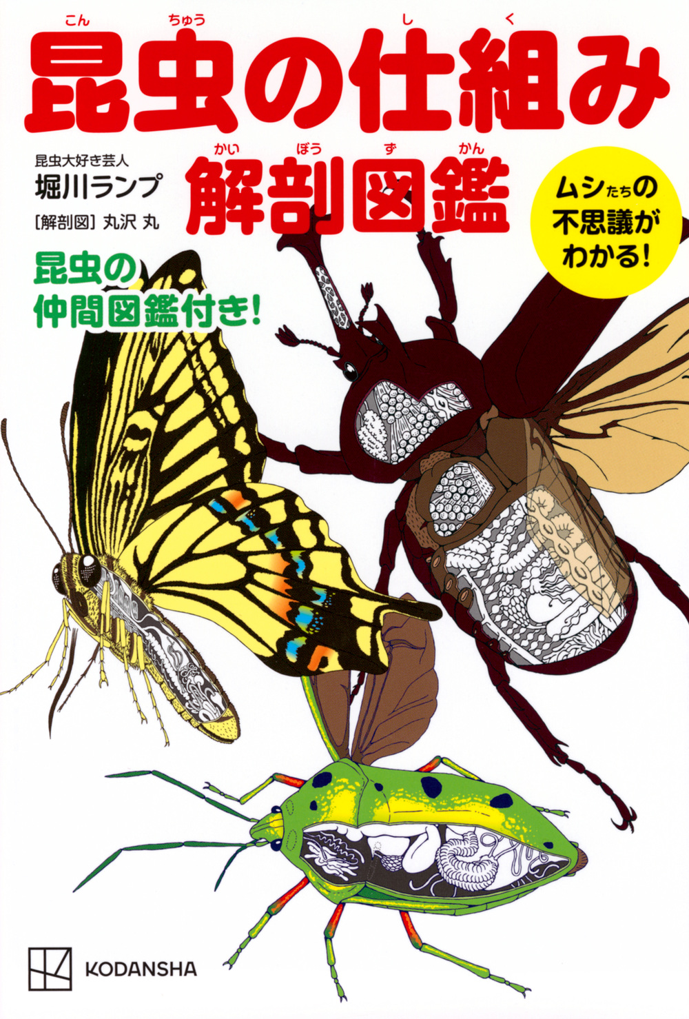 昆虫の仕組み　解剖図鑑